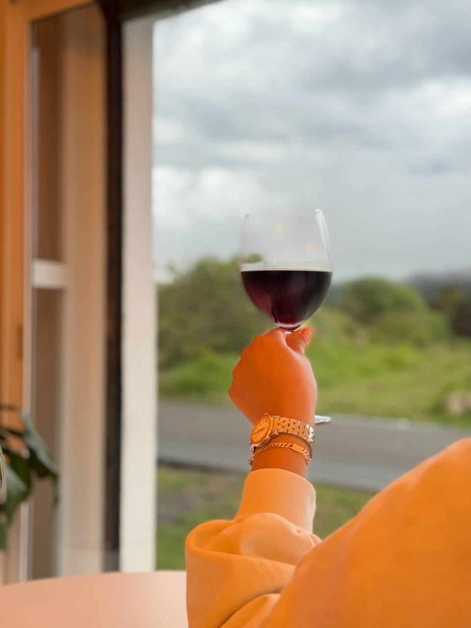 Copa de vino tinto frente a ventanal con vista exterior