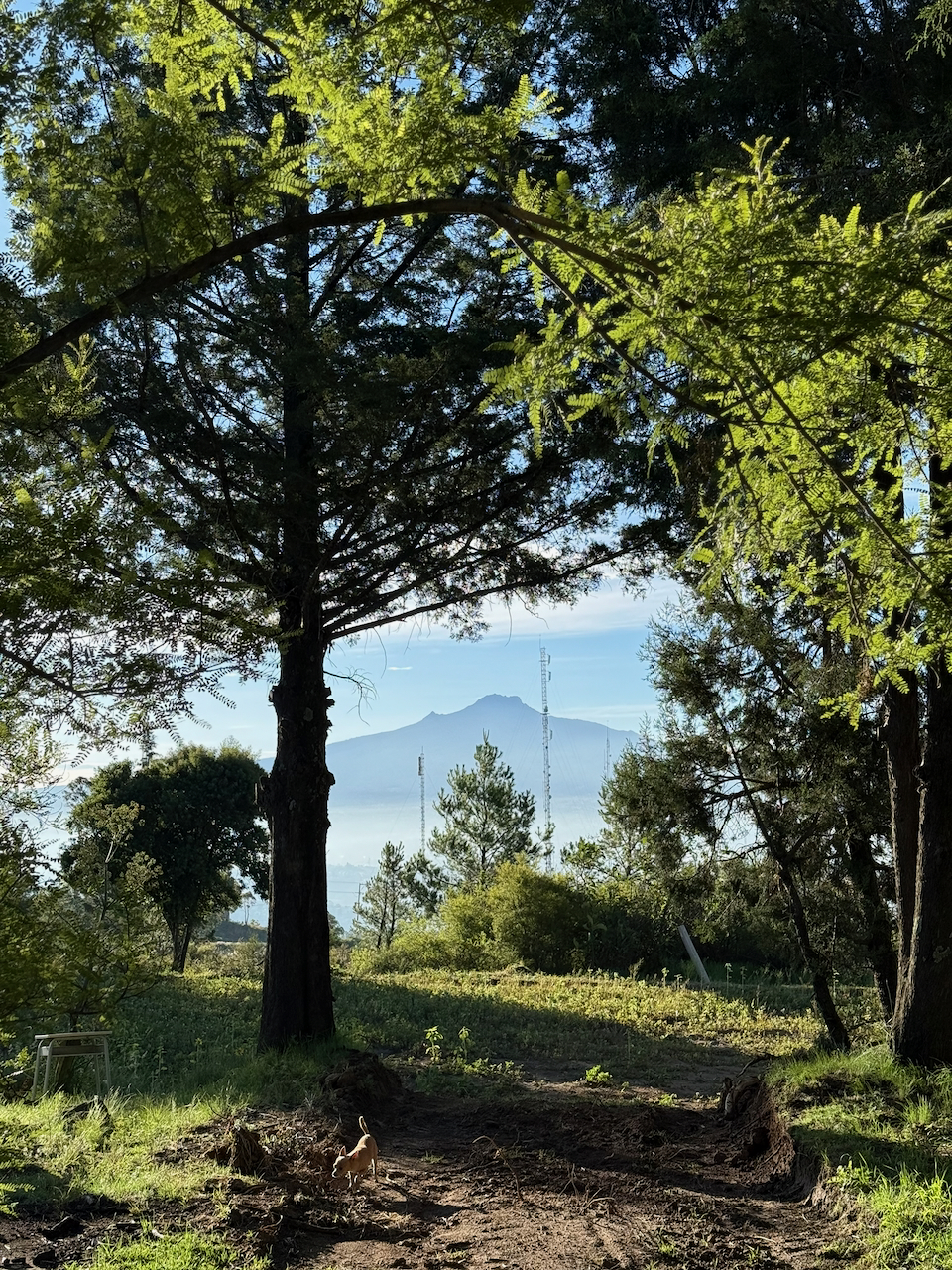 Carpa montada en el Camping de Tlatenco con vista a los volcanes